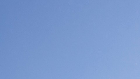 La conservación está a la cabeza en las guías de diseño del Wildlife Explorers Basecamp,