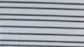 Brianda Daniela Bricia Sanchez