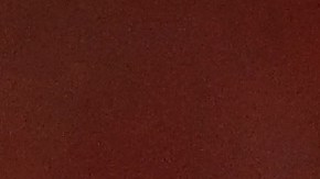 Entrenador de los Buccaneers afirmó que extrañará maldecir a sus jugadores todos los días