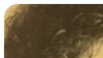 Cold case Washington