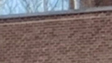 La nueva comisionada forma parte de nuevo equipo municipal que tiene como reto la recuperación económica de la Gran Manzana