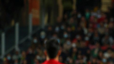 Portugal v Serbia - 2022 FIFA World Cup Qualifier