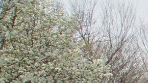 El DOT ha realizado varias demostraciones de cómo funcionan los tres modelos de ‘E-scooter’.