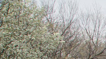 El DOT ha realizado varias demostraciones de cómo funcionan los tres modelos de ‘E-scooter’.