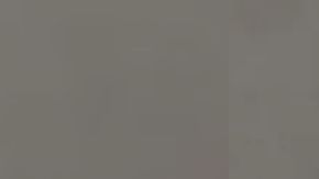 Taylor Denise Schabusiness