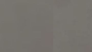 Taylor Denise Schabusiness