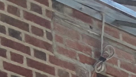 Amplían hasta julio 1 el plazo para completar Encuesta de Vivienda y Vacancia en NYC