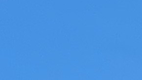 Inmigrantes marchan en el Puente de Brooklyn exigiendo $3,000 millones para el Fondo de Trabajadores Excluidos