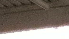 La presencia de desamparados en el metro de NYC sigue viéndose, especialmente en las noches