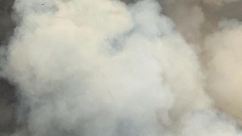 Florida Fire
