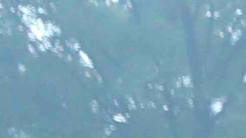 De acuerdo con las proyecciones, el próximo año se duplicará el número de alumnos de ADS que ingresarán satisfactoriamente a la universidad.