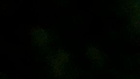 Spring Break Florida