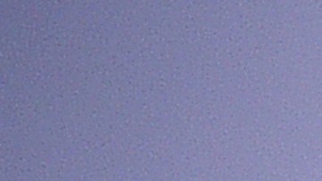 Bruce Willis compró una mansión en Brentwood Park en 2019