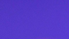 Will Smith y Jada Pinkett Smith