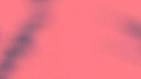 ¿Qué hacía J Balvin mientras Residente estrenaba la canción donde lo ataca fuertemente?