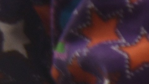 Un agutí en Abiyán, África Occidental.