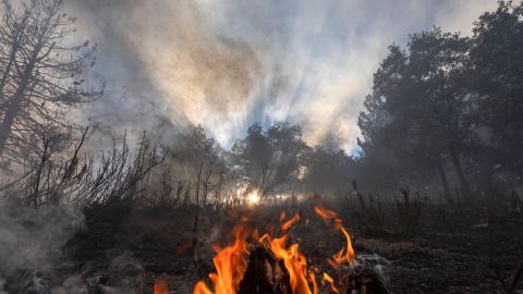 Florida Fire