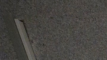 65 Soyuz Astronautas NASA