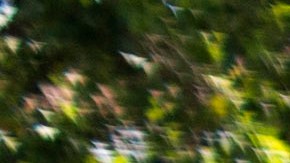 Escuela República Dominicana