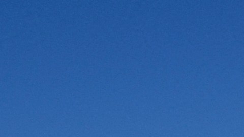 "Palos de escoba estadounidenses", se burló en un tuit el mismo jefe de SpaceX, Elon Musk.