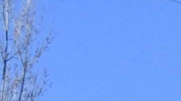 Todo el personal está agotado y desesperado.