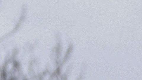 Spldado ucraniano en Kiev