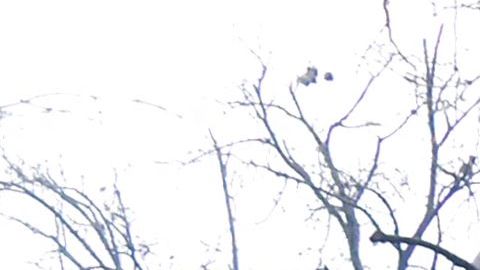 Bombardean la central nuclear de Energodar.