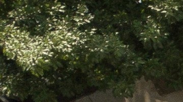 La riña entre hinchas de Atlético Mineiro y Cruzeiro se habría organizado por redes sociales, según reveló la Policía Militarizada de Brasil.