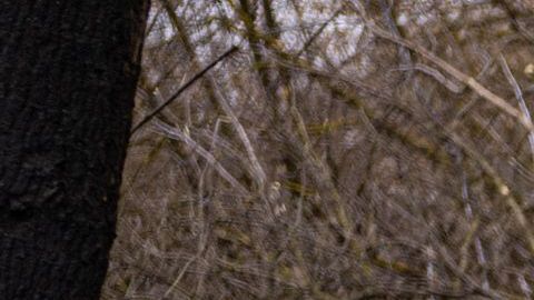 bombardeos Kiev Ucrania