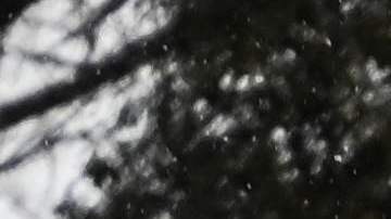 TOPSHOT-UKRAINE-RUSSIA-CONFLICT