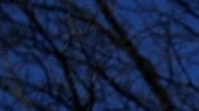 Putin buscará proclamarse victorioso y ganar territorio.