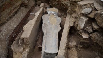 Imagen muestra el sarcófago encontrado en Notre Dame.