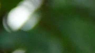 El príncipe William y Kate Middleton durante su viaje al Caribe