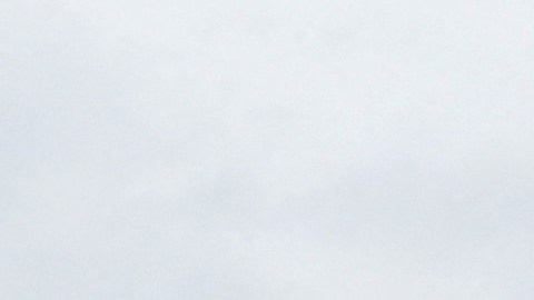 Las fuerzas ucranianas han frenado al ejército ruso en muchos lugares.
