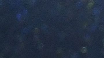 Eugenio Derbez junto a el resto de integrantes de "CODA".