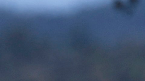 Fuerzas ucranianas capturaron a "Bagira".
