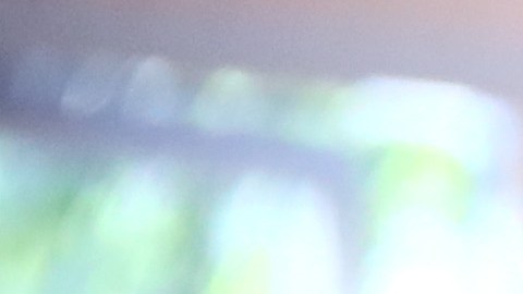 Dutch School Life During COVID-19