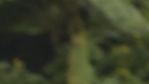 Guatemala indigena