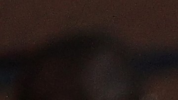 La fanaticada de Atlanta United nunca dejó de apoyar a sus jugadores.