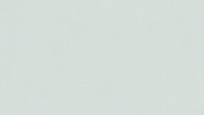 Martha Stewart confiesa que disfrutó de estas nuevas propiedades