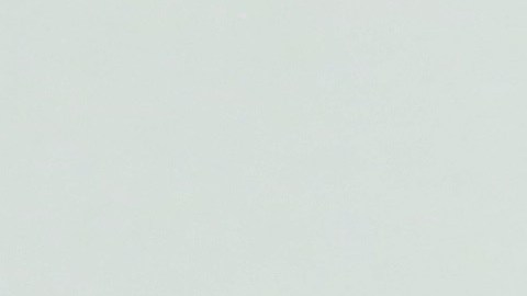 Martha Stewart confiesa que disfrutó de estas nuevas propiedades