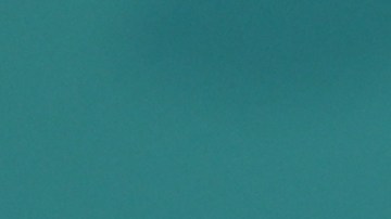 President Lopez Obrador Daily Briefing