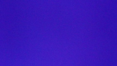Jason Derulo se ha convertido en una figura de TikTok