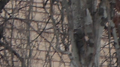 EEUU alerta a sus ciudadanos en Ucrania de que pueden ser objetivo de Rusia.