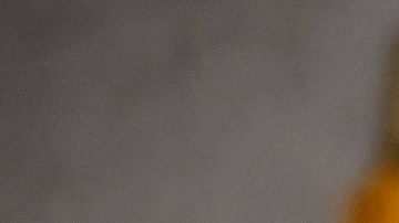 El líder del Senado, Chuck Schumer, apoya reimpulsar una refoma migratoria.