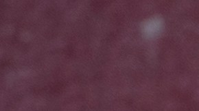 Thais Turn To Crocodile Meat As Pork Prices Soar