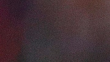 Jugadoras de Estados Unidos celebran el título conseguido.