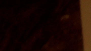 Periodistas Capitolio EE.UU.