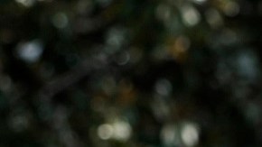 La primera dama Jill Biden fue alertada de una amenaza de bomba en universidad donde imparte clases.