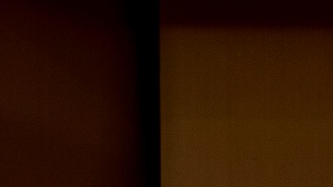 El ministro de Asuntos Exteriores chino, Wang Yi, declaró que la amistad con Rusia es "sólida como una roca".